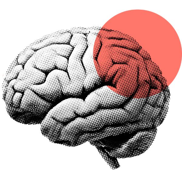 Psicologia e supporto emotivo